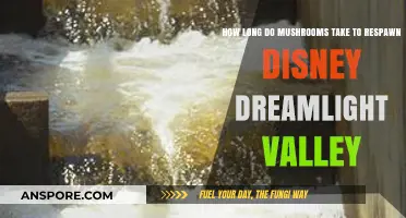 Mushroom Respawn Time in Disney Dreamlight Valley: What to Expect