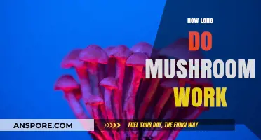 Understanding the Duration of Mushroom Effects: A Comprehensive Guide