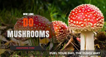 Understanding the Lifespan of Mushrooms: Growth, Harvest, and Storage Tips