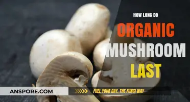 Organic Mushrooms Shelf Life: Freshness Duration and Storage Tips
