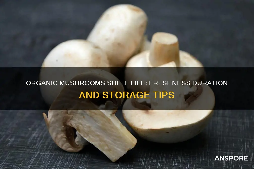 how long do organic mushrooms last