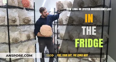 Oyster Mushrooms Shelf Life: How Long Do They Last in the Fridge?