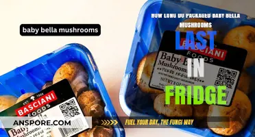 Baby Bella Mushrooms Shelf Life: Fridge Storage Duration Explained