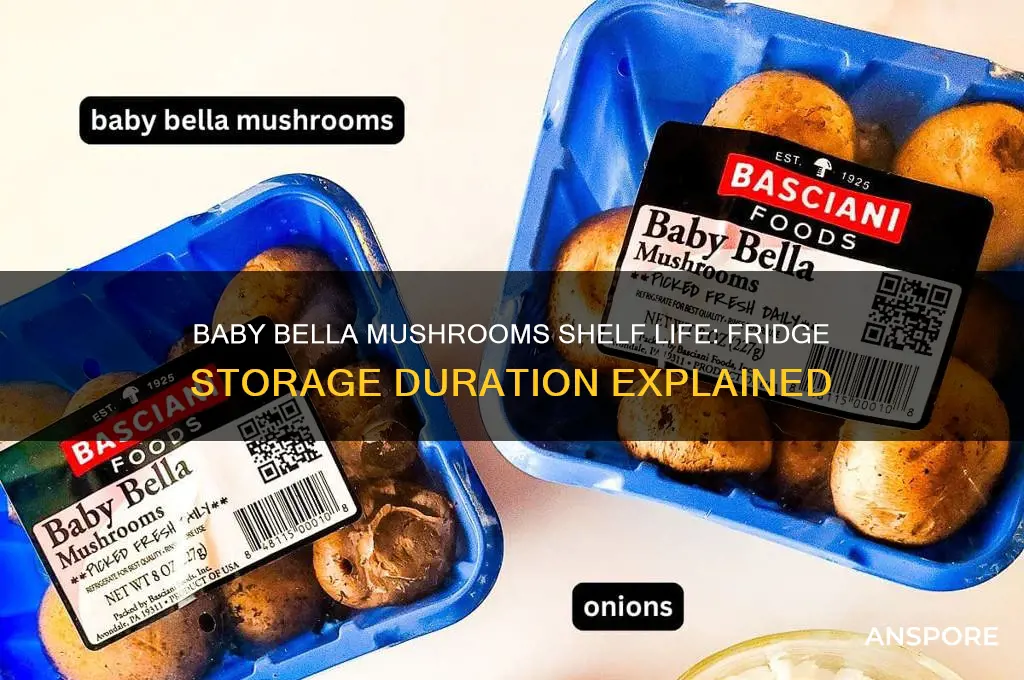 how long do packaged baby bella mushrooms last in fridge