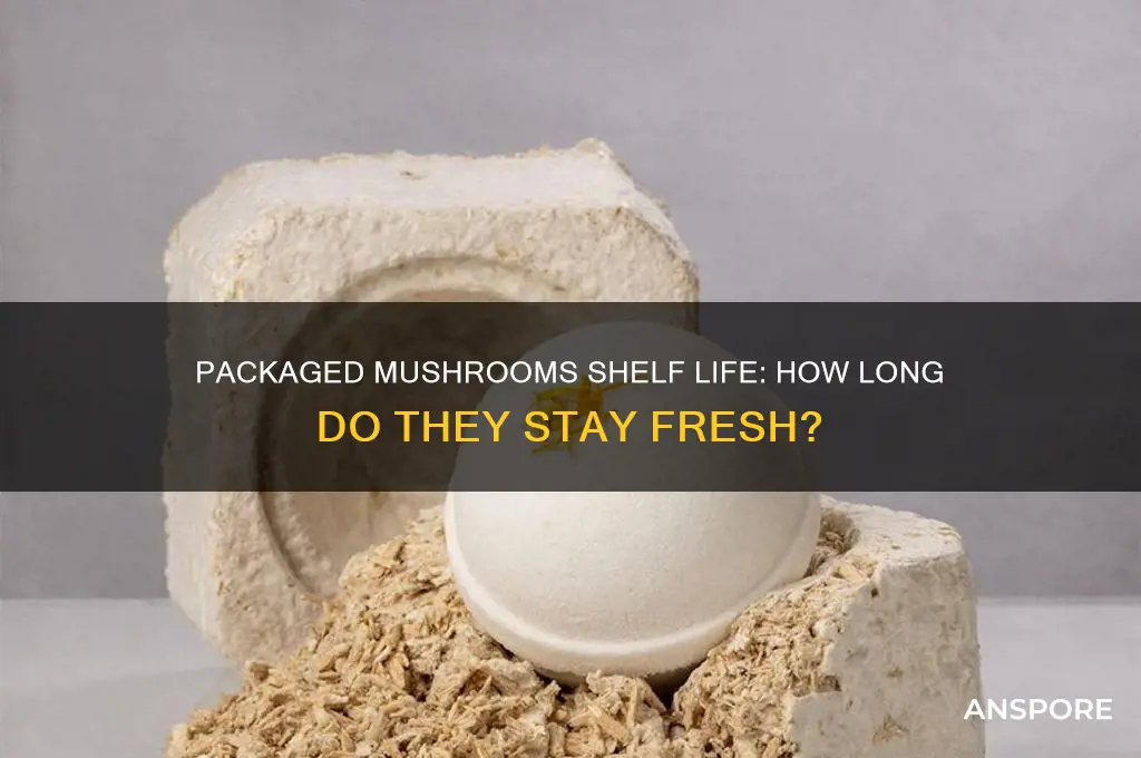 how long do packaged mushrooms keey for