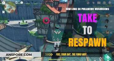 Philanemo Mushroom Respawn Time: How Long Until They Reappear?