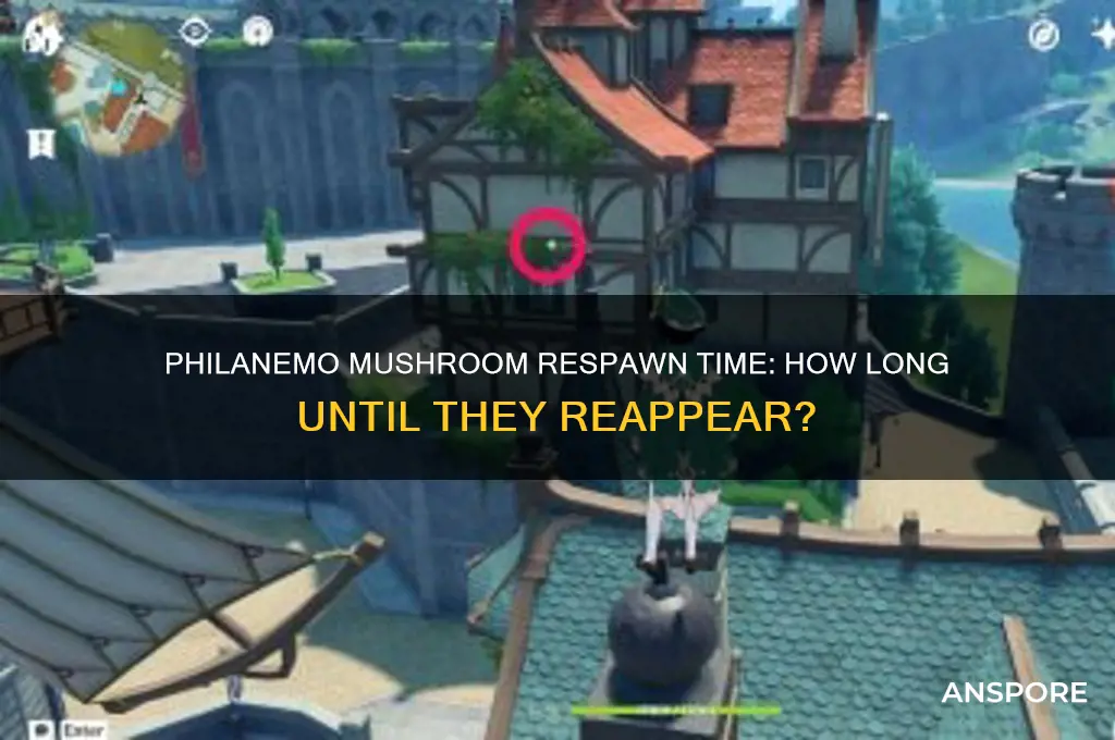 how long do philanemo mushrooms take to respawn