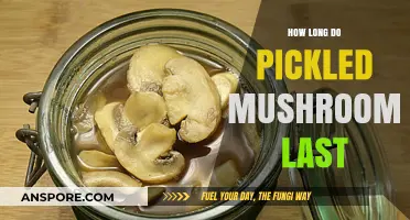 Pickled Mushrooms Shelf Life: Storage Tips for Longevity and Freshness