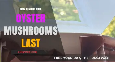 Shelf Life of Pink Oyster Mushrooms: Storage Tips for Freshness