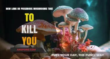 Deadly Mushrooms: Understanding the Lethal Timeline of Poisonous Varieties