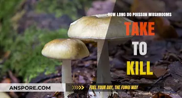 Deadly Poisonous Mushrooms: Understanding the Lethal Timeline of Poisonous Varieties