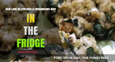 Portabella Mushrooms Shelf Life: Fridge Storage Tips and Duration