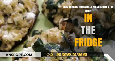Portabella Mushrooms Shelf Life: How Long Do They Last in the Fridge?