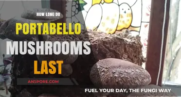 Portobello Mushrooms Shelf Life: Storage Tips for Freshness and Longevity