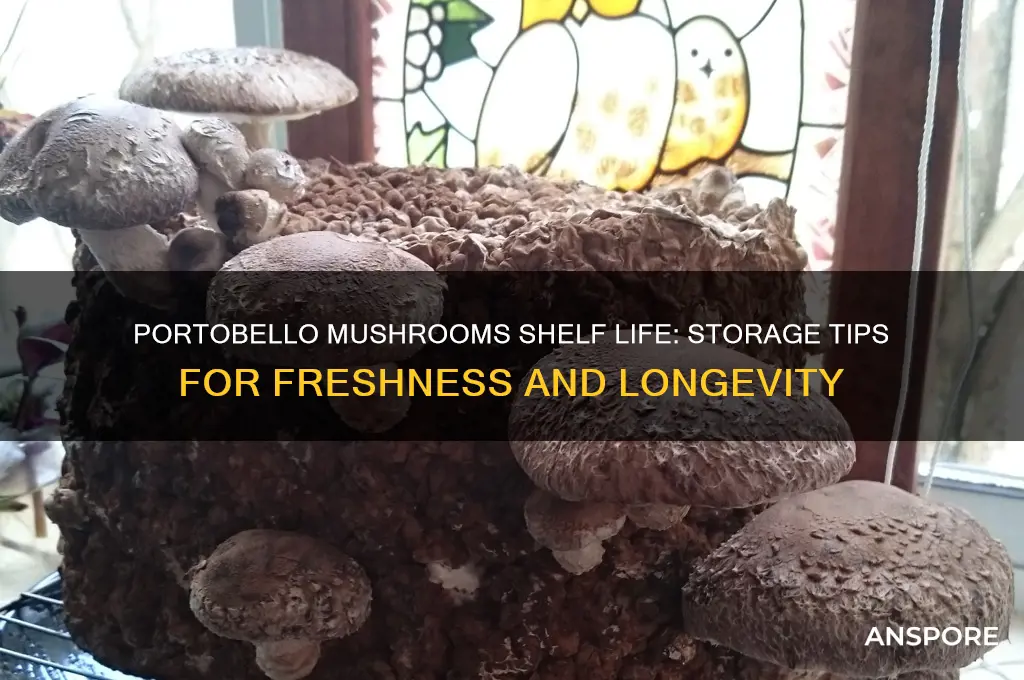 how long do portabello mushrooms last