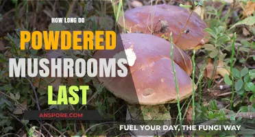 Powdered Mushrooms Shelf Life: How Long Do They Last?