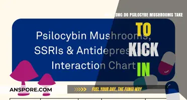 Psilocybe Mushrooms: Timing the Onset of Effects and Duration