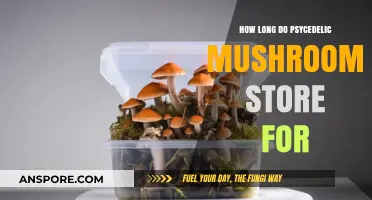 Psychedelic Mushrooms Storage: How Long Do They Stay Fresh?