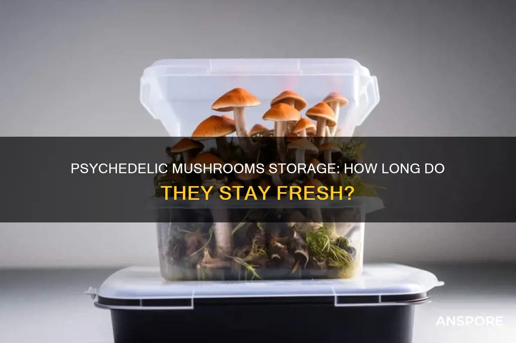 how long do psycedelic mushrooms store for