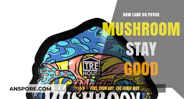 Shelf Life of Psychedelic Mushrooms: How Long Do They Last?