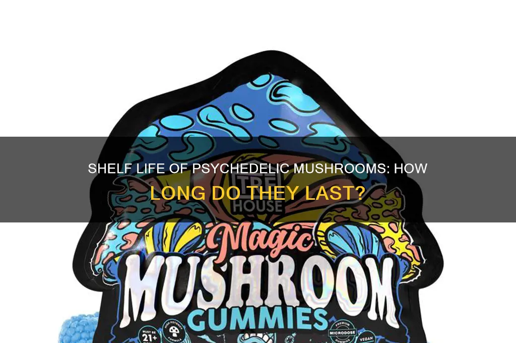 how long do psych mushrooms stay good