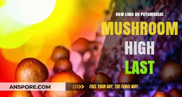 Psychedelic Mushrooms High Duration: Understanding the Trip Timeline