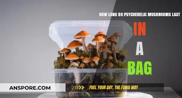 Psychedelic Mushrooms Shelf Life: How Long Do They Last in Storage?