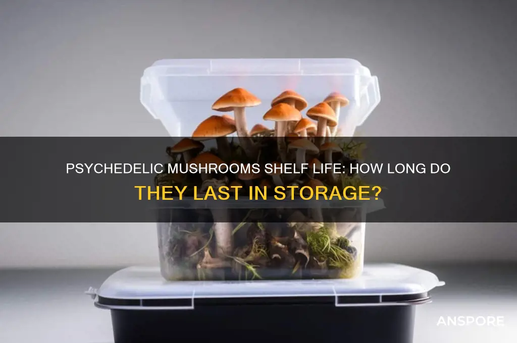 how long do psychedelic mushrooms last in a bag
