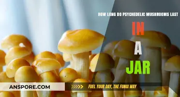 Preserving Psychedelic Mushrooms: Shelf Life in a Jar Explained