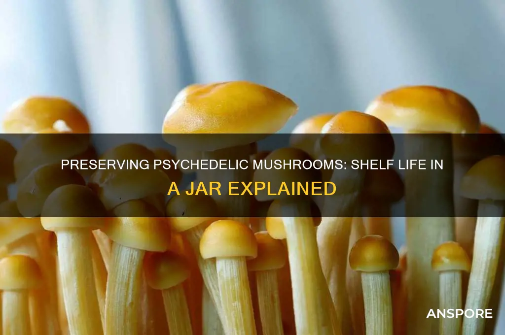 how long do psychedelic mushrooms last in a jar