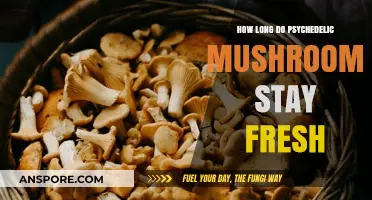 Maximizing Freshness: How Long Do Psychedelic Mushrooms Stay Edible?