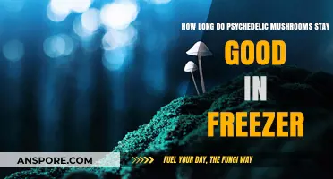 Preserving Psychedelic Mushrooms: Freezer Storage Lifespan and Tips