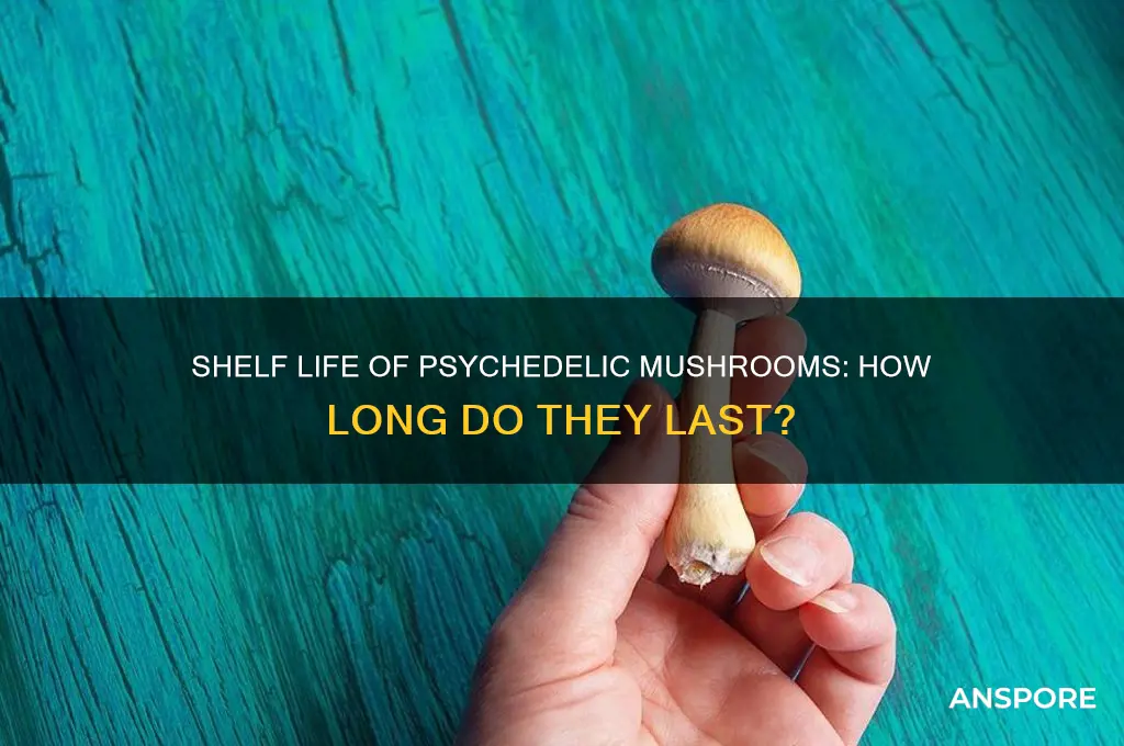 how long do psychedelic mushrooms stay good