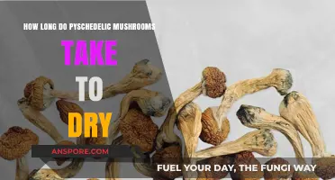 Drying Psychedelic Mushrooms: Optimal Time and Techniques for Preservation