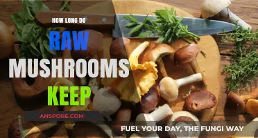 How Long Do Raw Mushrooms Keep: A Freshness Guide