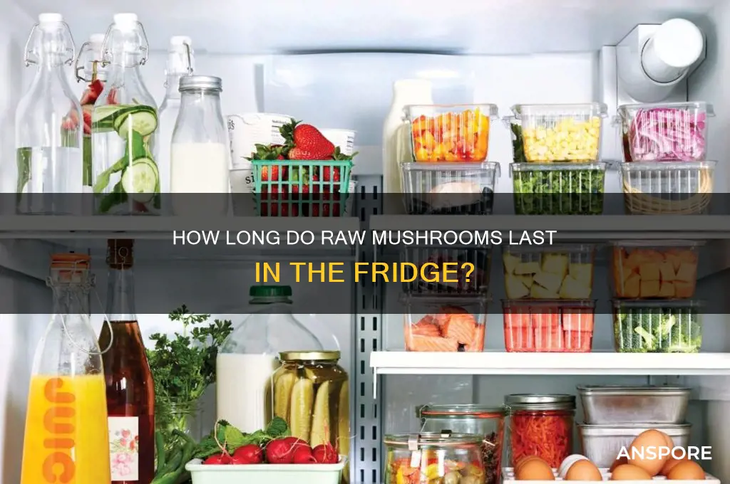 how long do raw mushrooms last in the fridge stilltasty