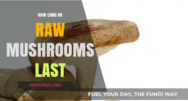 Maximizing Freshness: How Long Do Raw Mushrooms Last in Storage?