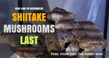 Rehydrated Shiitake Mushrooms: Shelf Life and Storage Tips