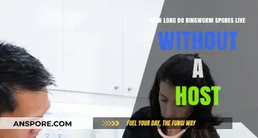 Ringworm Spores Survival: How Long Can They Live Without a Host?