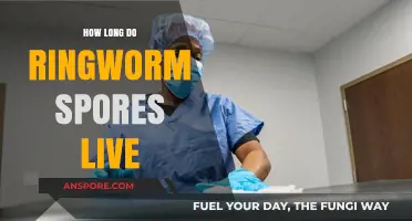 How Long Do Ringworm Spores Survive: A Comprehensive Guide