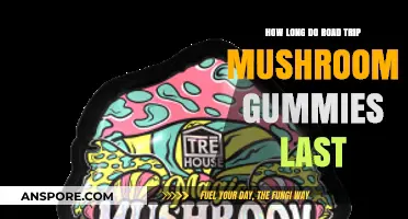 Road Trip Mushroom Gummies: Shelf Life and Storage Tips