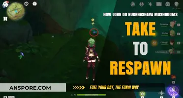 Rukkhashava Mushroom Respawn Time: A Comprehensive Guide for Foragers