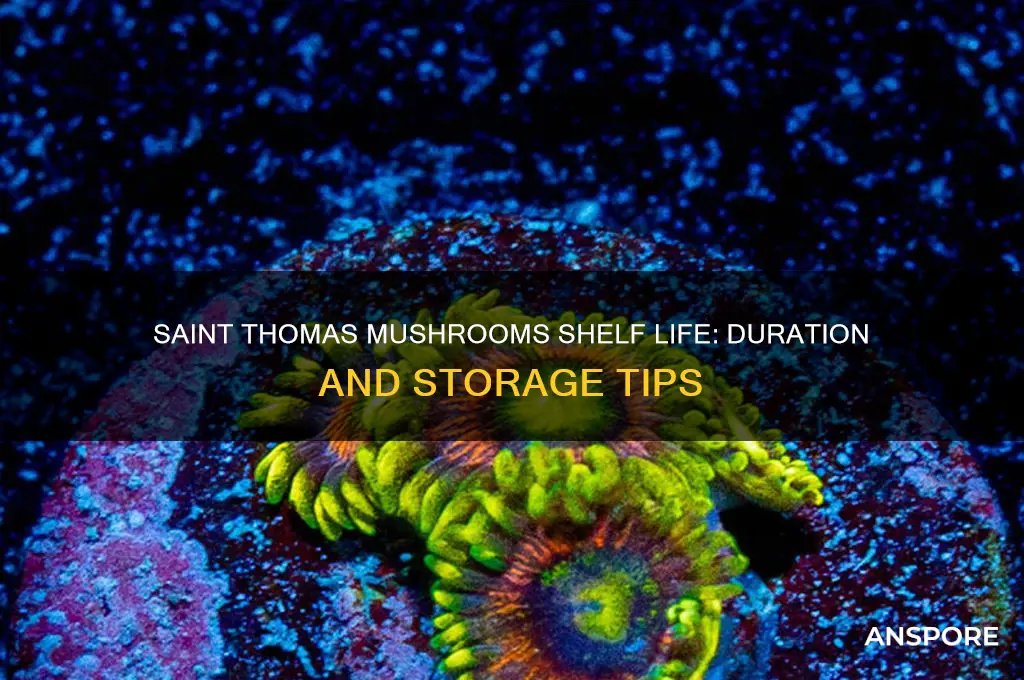 how long do saint thomas mushrooms last