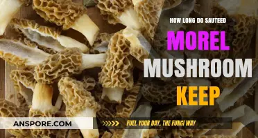 Sauteed Morel Mushrooms: Storage Tips and Freshness Duration Explained