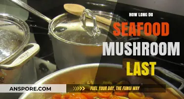 Seafood Mushrooms Shelf Life: Storage Tips for Freshness and Flavor