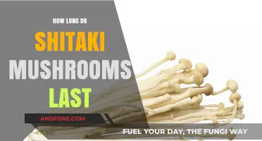 Shitake Mushrooms Shelf Life: Storage Tips for Freshness and Longevity