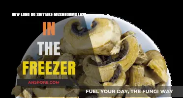 Extending Shiitake Shelf Life: Freezer Storage Tips and Duration