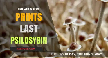 Psilocybin Spore Prints: Understanding Their Lifespan and Preservation Techniques