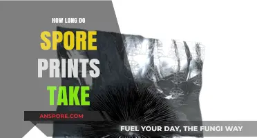 Understanding Spore Print Timing: How Long Does the Process Take?