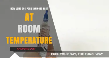 Spore Syringe Shelf Life: Room Temperature Storage Duration Explained